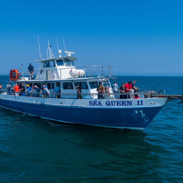 A blue and white boat.